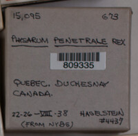 Image Associated With the Occurence